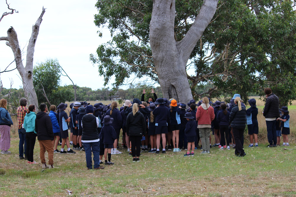 Students learning about indigenous canoe making traditions Wathaurong/Waddawurrung cultural excursion