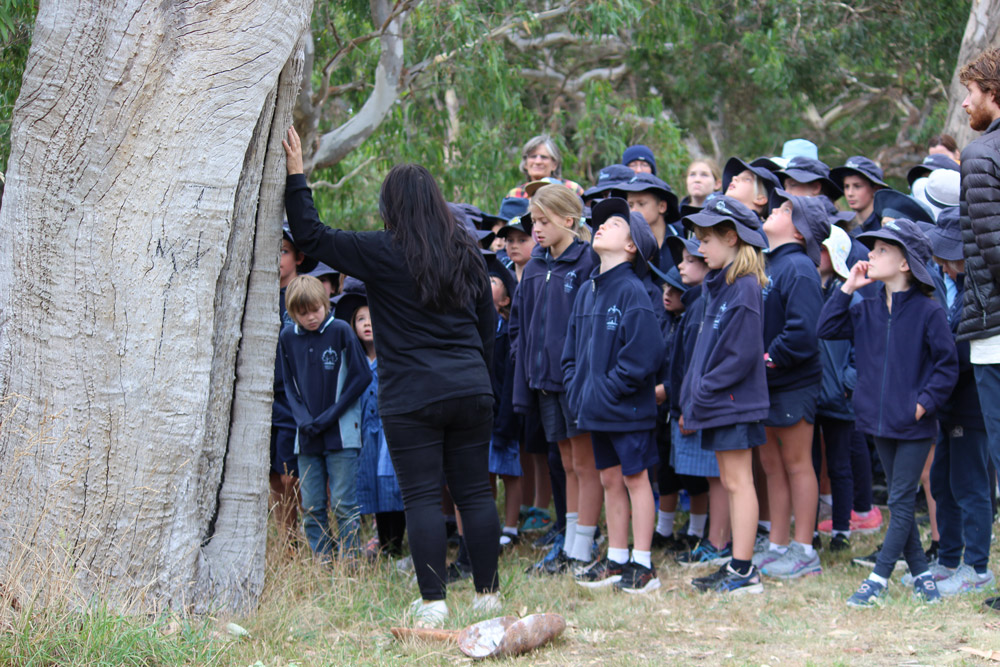 Students learning about indigenous canoe making traditions Wathaurong/Waddawurrung cultural excursion