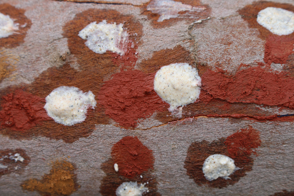 Tree bark with ochre during Wathaurong/Waddawurrung cultural excursion