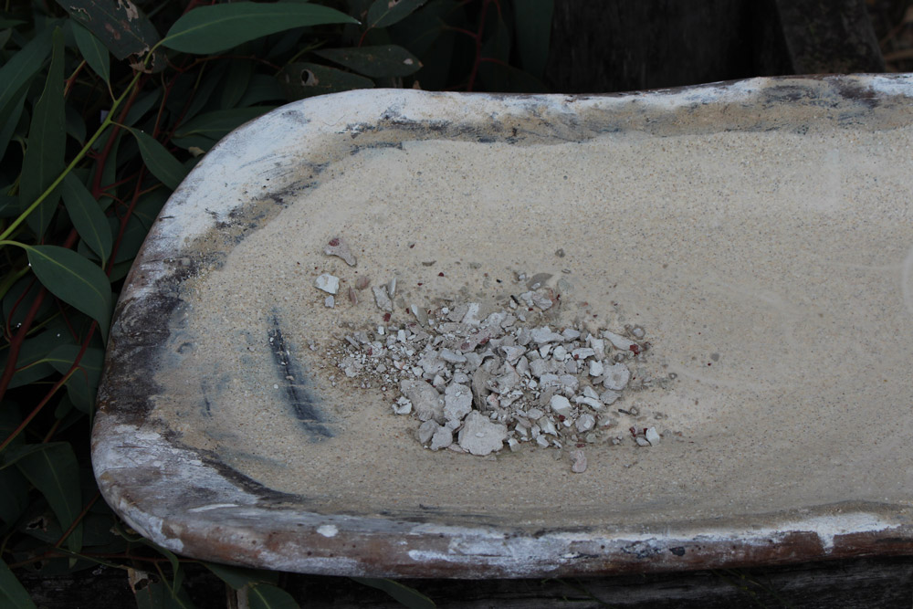 White ochre in wooden bowl Wathaurong/Waddawurrung cultural excursion